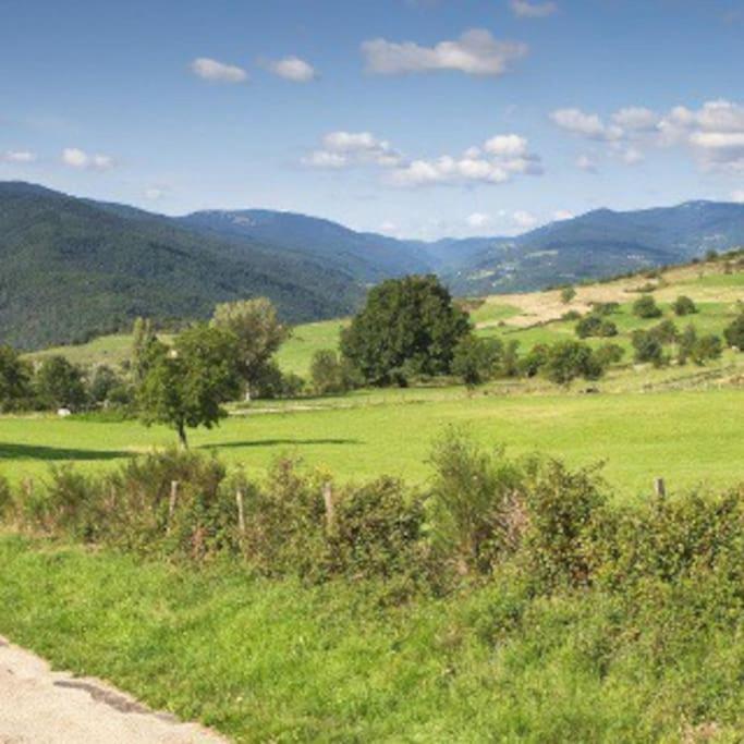 Agreable Maison De Village Avec Balcon Roiffieux エクステリア 写真